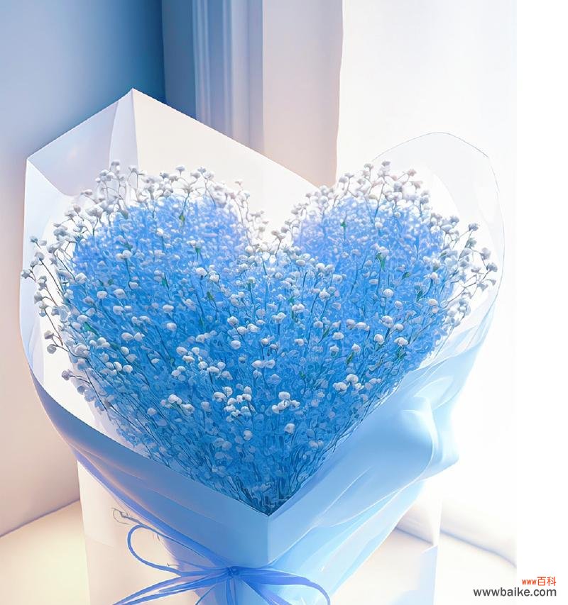 蓝色满天星的美丽与内涵 蓝色满天星的寓意与象征意义