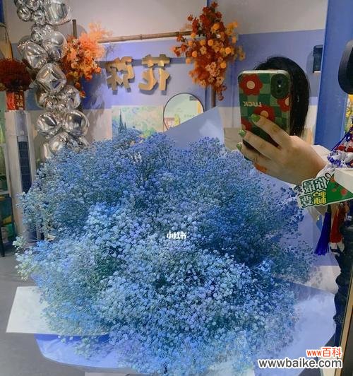 揭秘蓝色满天星花语的真正含义 蓝色满天星花语