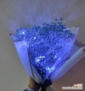 星空中的神秘之美 蓝色满天星的象征意义