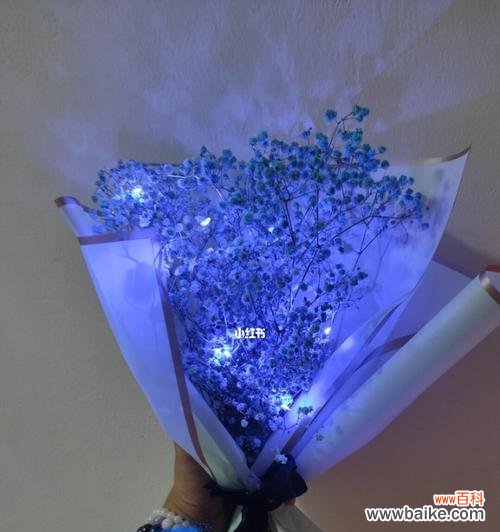 星空中的神秘之美 蓝色满天星的象征意义