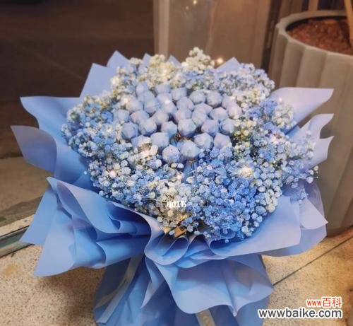 星空中的神秘之美 蓝色满天星的象征意义