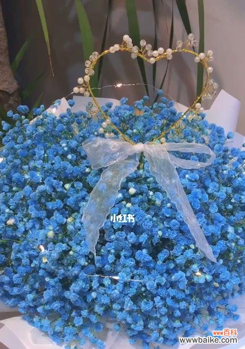 星空中的神秘之美 蓝色满天星的象征意义