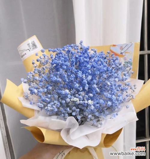 蓝色满天星花的神秘寓意 蓝色满天星花语之美丽与祝福