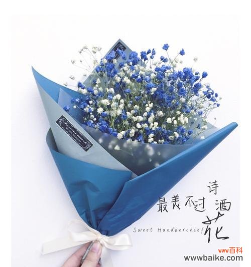 蓝色满天星花的神秘寓意 蓝色满天星花语之美丽与祝福