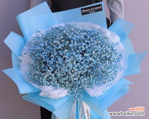 蓝色满天星花的神秘寓意 蓝色满天星花语之美丽与祝福