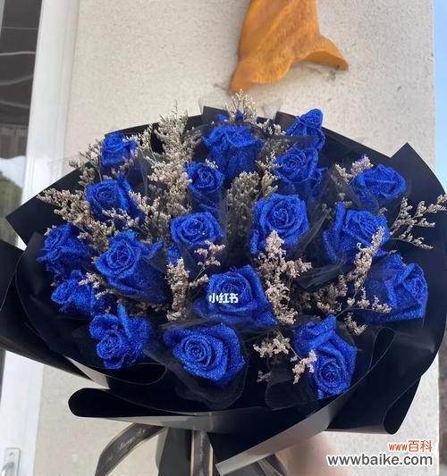 探索蓝色玫瑰的神秘与美丽 蓝色玫瑰的花语及象征意义