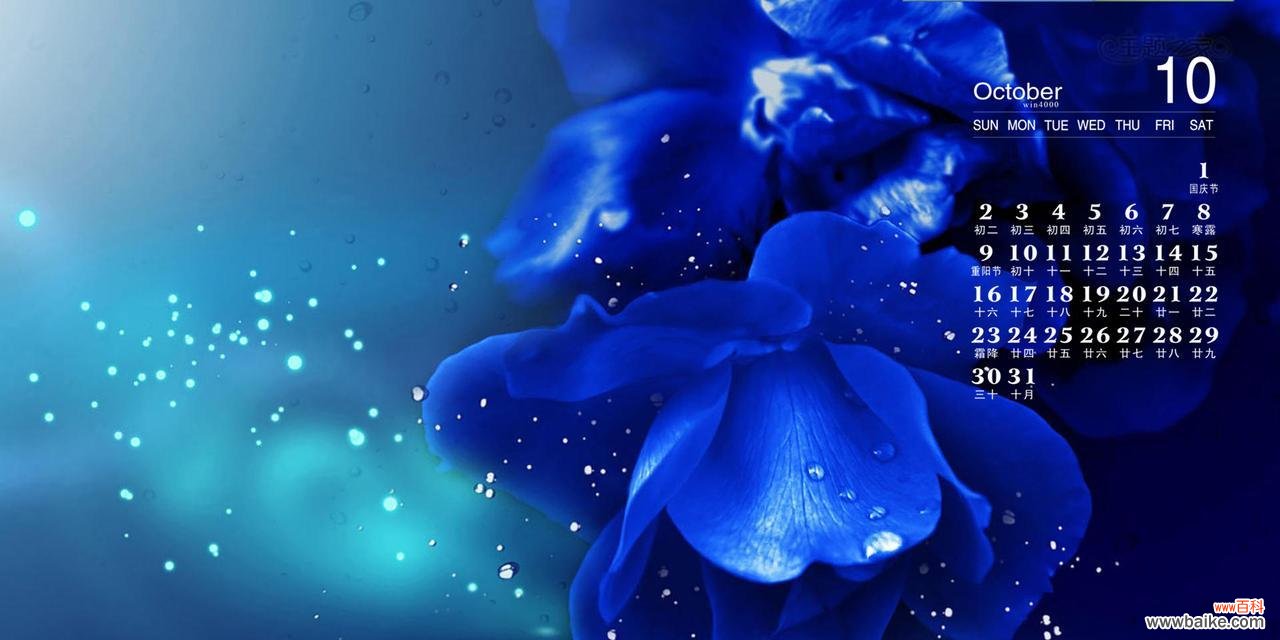 探究蓝色玫瑰花的深意，传达出的情感与愿望 蓝色玫瑰花的花语及其意义