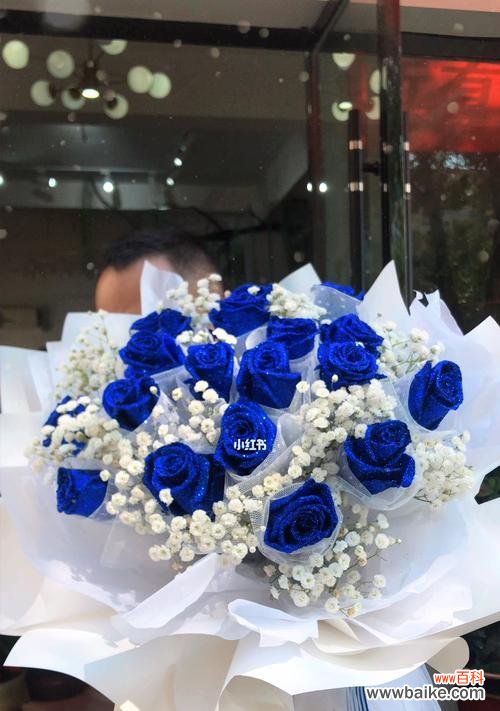 探究蓝色玫瑰花的深意，传达出的情感与愿望 蓝色玫瑰花的花语及其意义