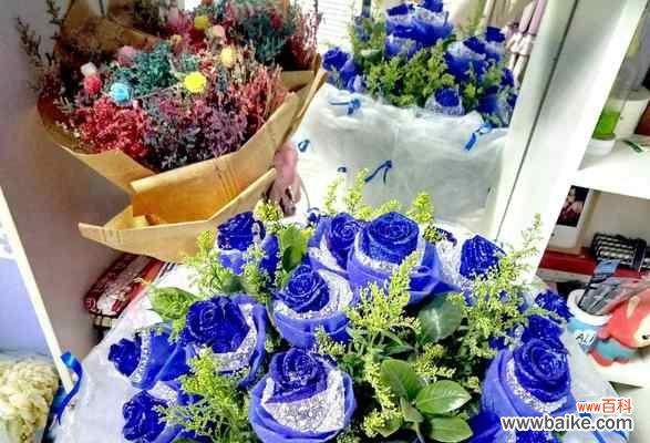追寻宁静与忧郁的浪漫之花 蓝色玫瑰的花语——传递深沉的祝福