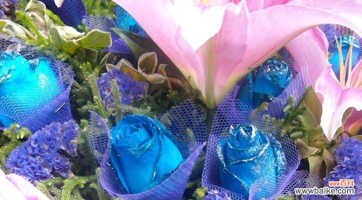 蓝色玫瑰传达思念与希望的情感 蓝色玫瑰花语的意义