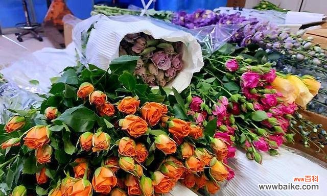 探究鲜切花的美学和情感表达 鲜切花的意义与价值