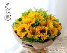 花的好寓意与老师的教育之道 以象征老师的花