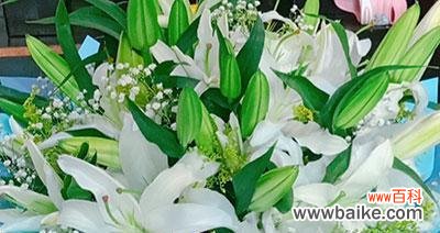 探索友谊中的花卉奥秘 友谊一生花开——永恒的象征