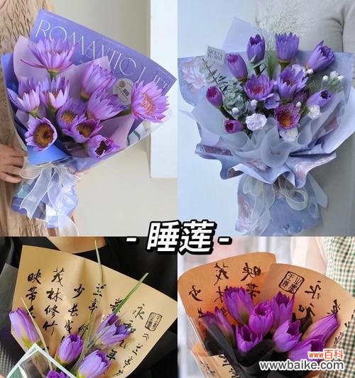 送花时如何选择搭配合适的花语?