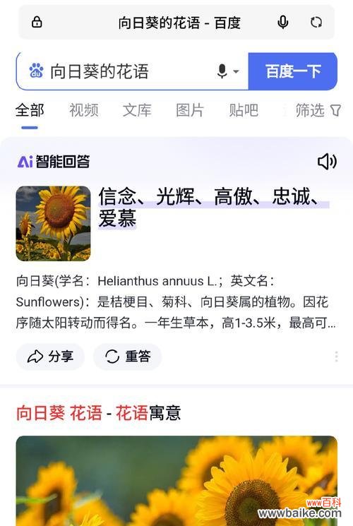 去见想见的人的花语是什么?这种花语如何表达我们的期待?