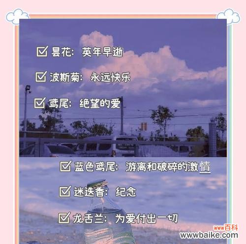 7月生日花语是什么?7月出生的人适合哪种花?