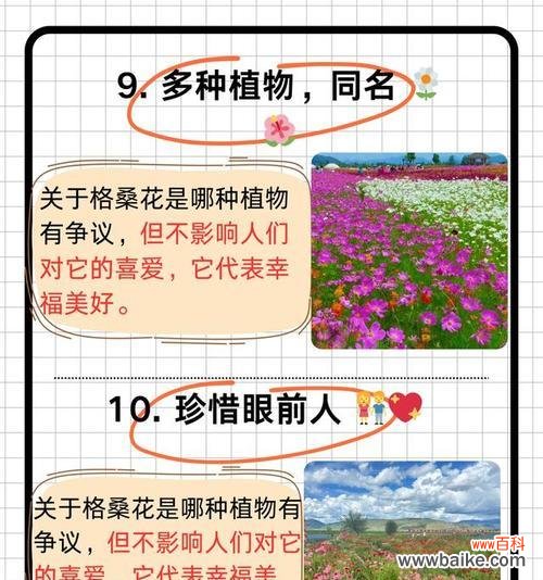 哪种花的花语与格桑花相似？