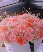 哪种花代表开心和快乐？它的花语是什么？