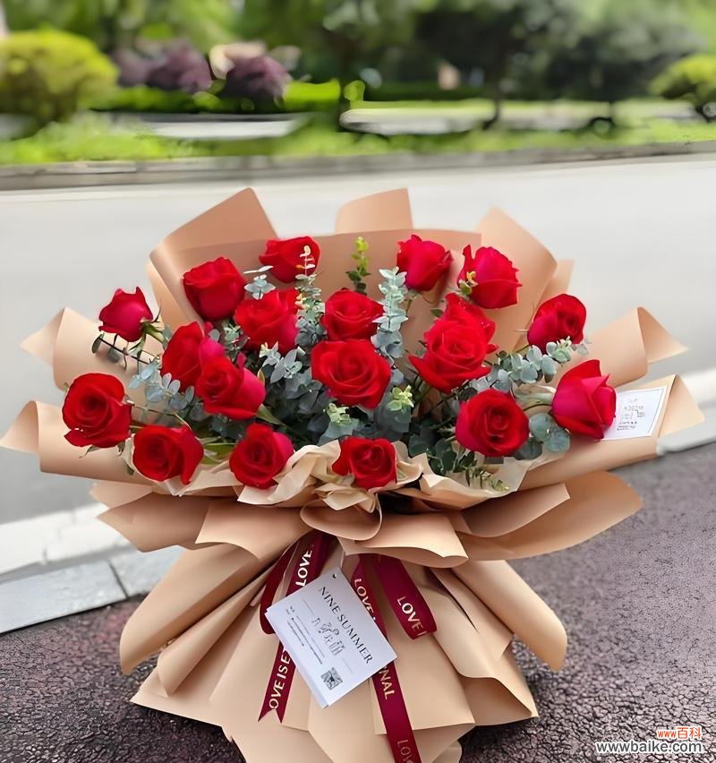 星辰花象征着什么？花语中蕴含的寓意是什么？