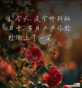 很隐晦的花语代表什么含义？