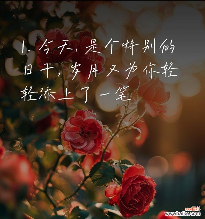 很隐晦的花语代表什么含义？