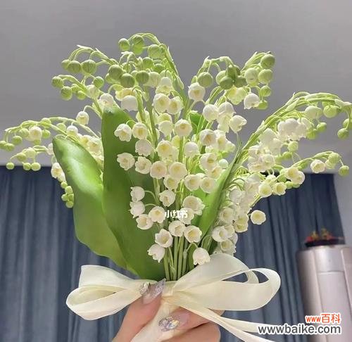 探索铃兰花的美与内涵 铃兰花的花语和寓意