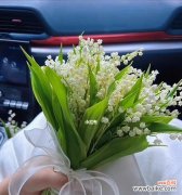 铃兰花语的含义及其在生活中的应用 铃兰花语——纯洁与永恒的象征