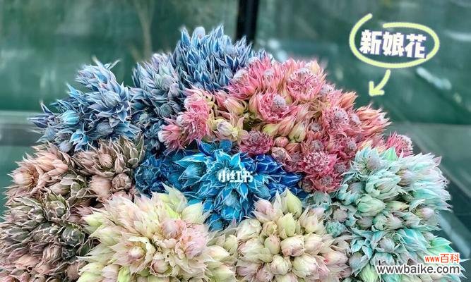 以花言莺语编织幸福的婚礼 新娘花花语——传达婚礼祝福的美丽语言