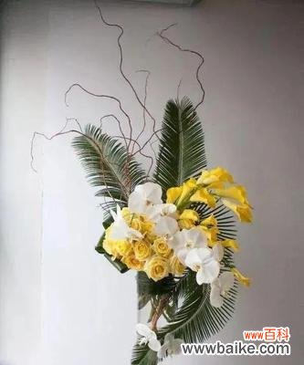 用花朵的微笑 以笑靥花为主题的花语——传递快乐与开朗