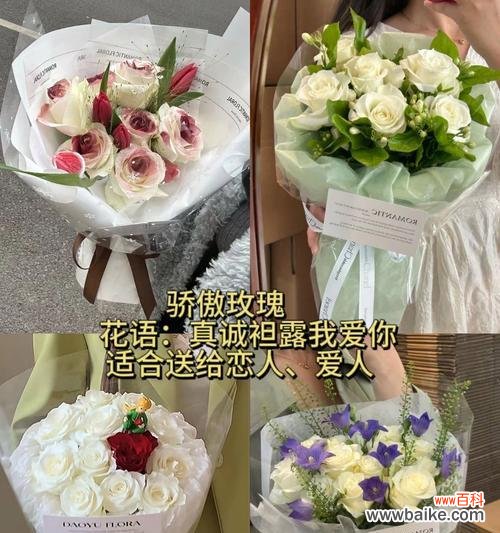 幸福的玫瑰花语通常是什么？