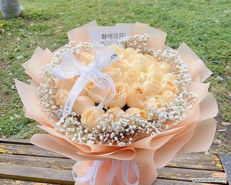 幸福的玫瑰花语通常是什么？