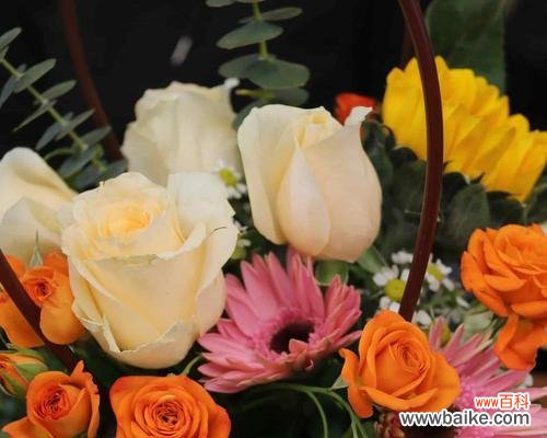 妇女节做玫瑰花礼物送什么？小心思的花语又是什么意思？