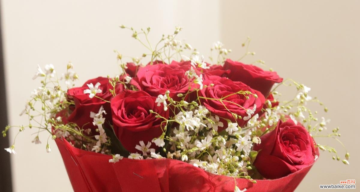 五只红玫瑰传递了什么信息?花语中表达了哪些情感?