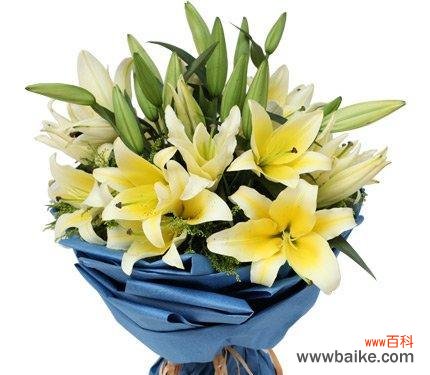 关于重回的花语代表什么？如何理解其深层含义？