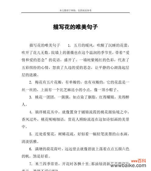 野花与蔷薇花语有何不同?它代表了什么?