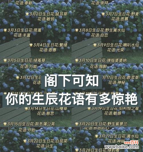 6月6日生日的花语是什么？6月6日出生的人适合哪种花语？