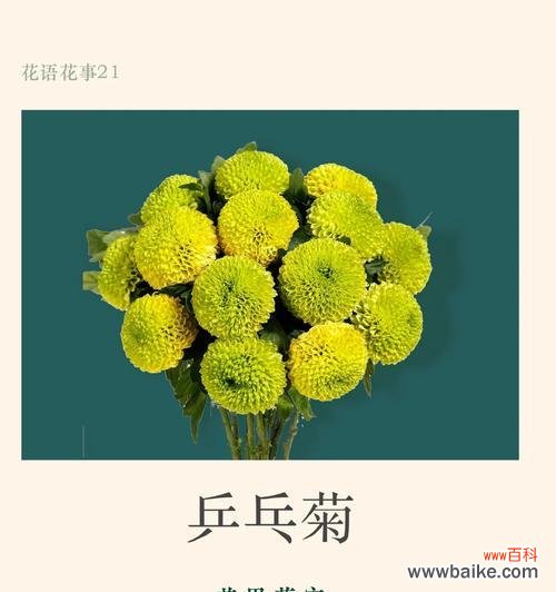 花语名园的含义是什么？花语名园代表了什么？