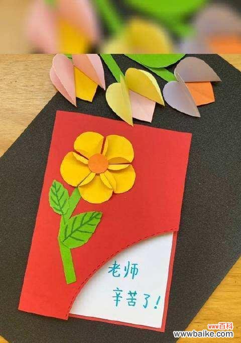 教师节的寓意是什么?教师节的花语有哪些?