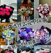 给弟弟妹妹送花应该选择哪种花语？