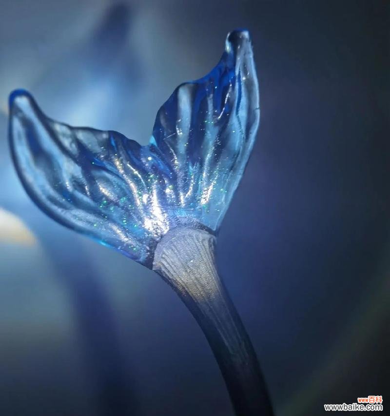 祁煜代表花花语是什么?祁煜代表花的花语有哪些含义?