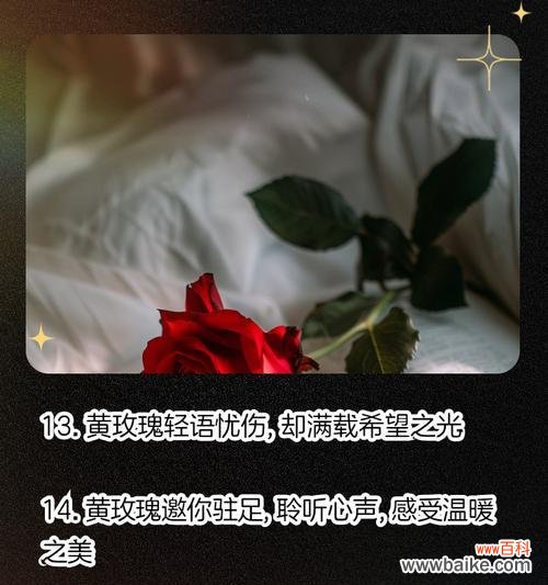 黄玫瑰作为礼物时的花语是什么？