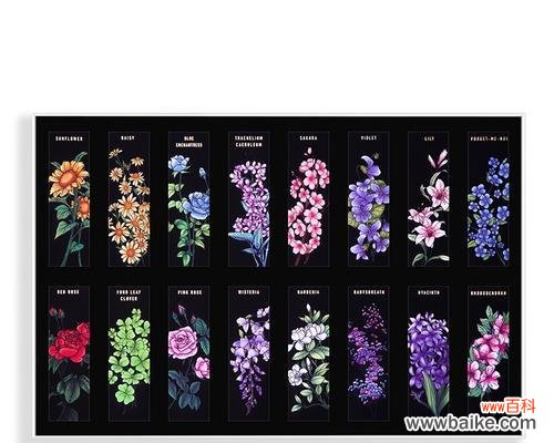 抹茶的花语有何含义?抹茶的花语代表什么?