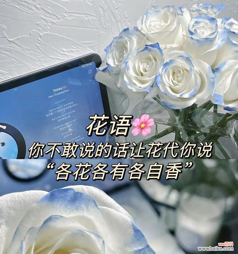 比较搞笑的花语是什么？哪些花语让人忍俊不禁？
