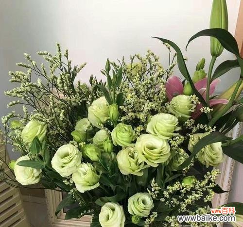 绿玫瑰的意义与象征力 绿玫瑰