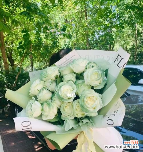 探索绿玫瑰的神秘语言,展示生命之美 绿玫瑰花语的深意