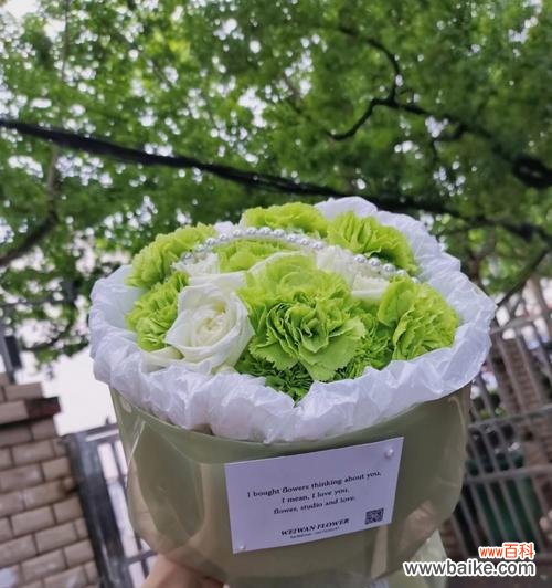 深入解读绿色康乃馨的花语及象征意义,揭示其独特之处 绿色康乃馨花语解析——活力与希望的象征