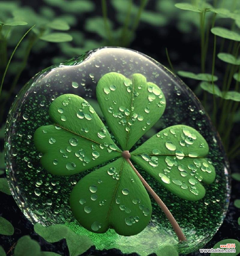 绿色代表的花语是什么?它象征着什么?