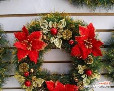 俄罗斯鲜花的花语有哪些？俄罗斯鲜花代表了什么？