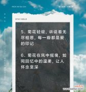 花语传递爱意，孩子能理解吗？