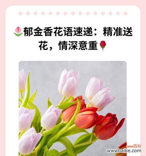 花语传递爱意,孩子能理解吗?